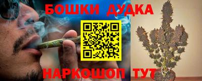 наркотики Кингисепп
