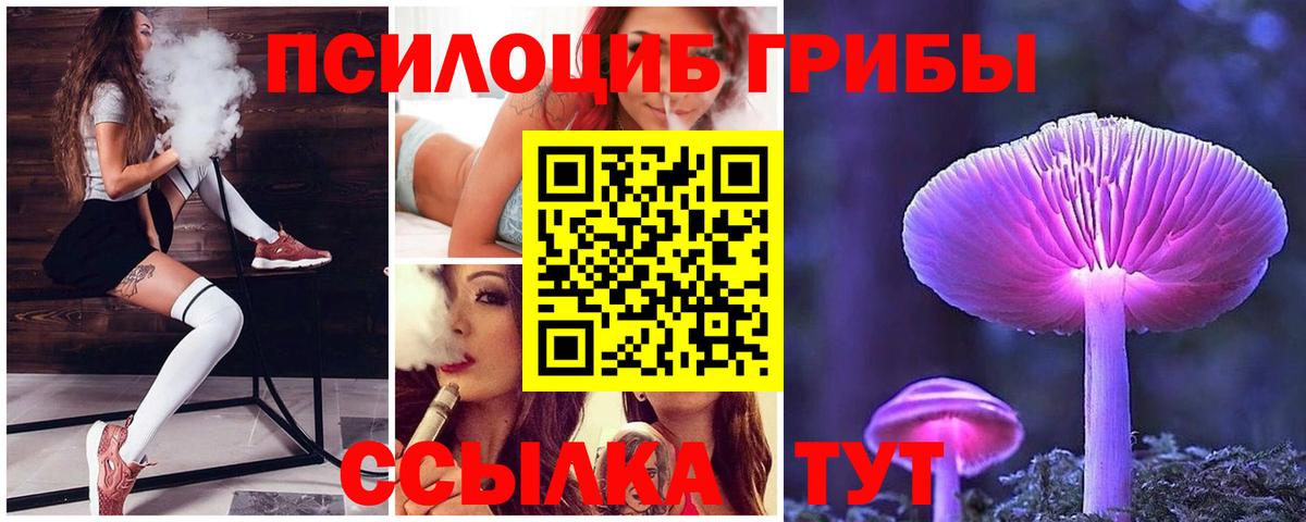 Псилоцибиновые грибы прущие грибы  Вход с VPN  Коркино  Псилоцибиновые грибы Magic Shrooms 